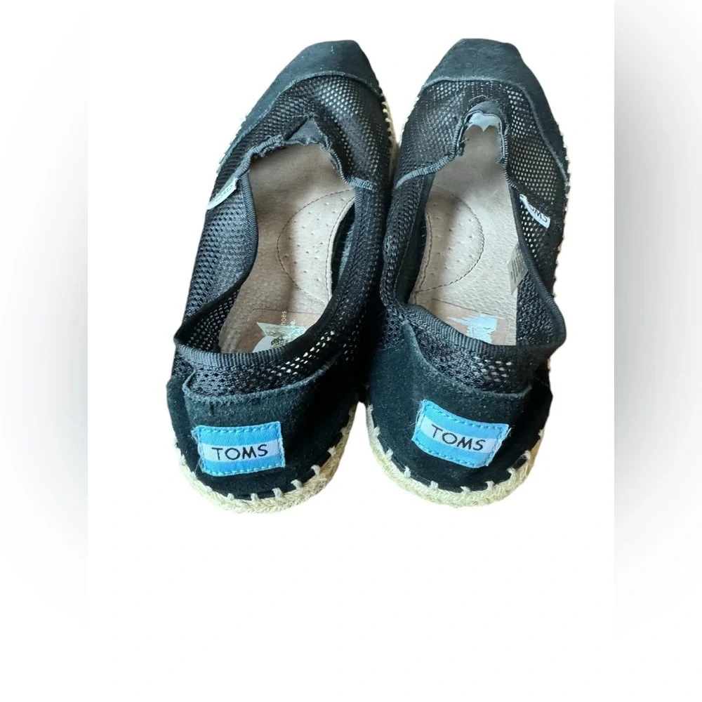 toms size
